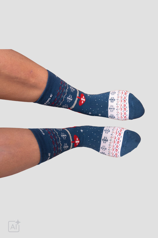 Christmas Socks 2026 Edition